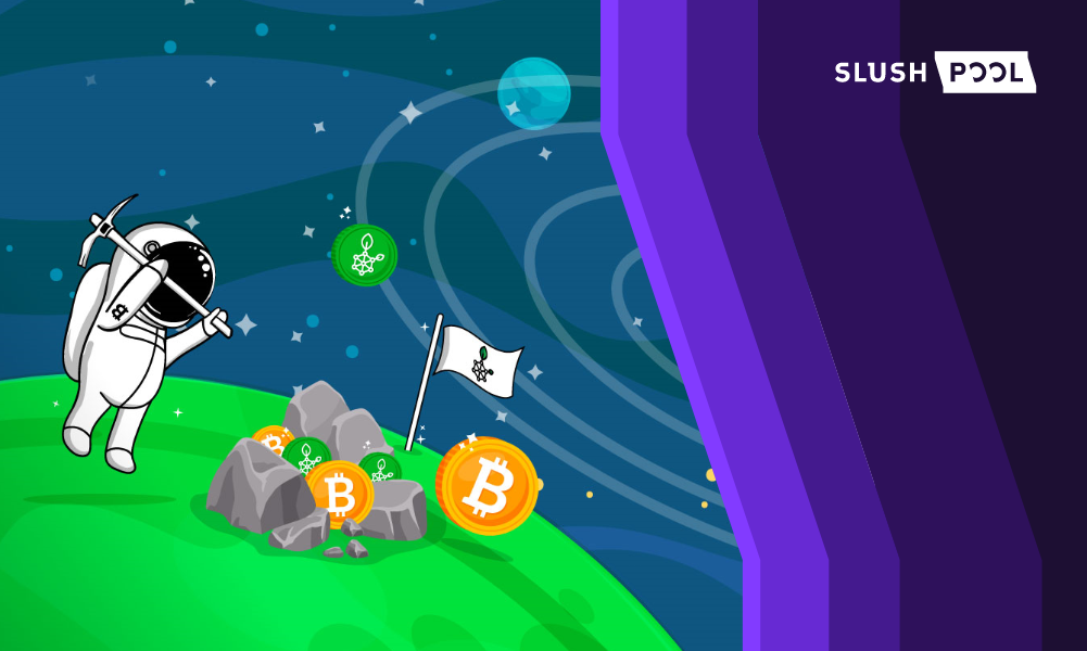 slushpool2020年01月31日1陀螺科技app24h快讯最热