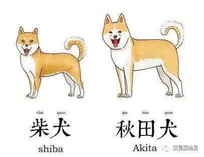 区块链从业者穿搭指南配图(7)