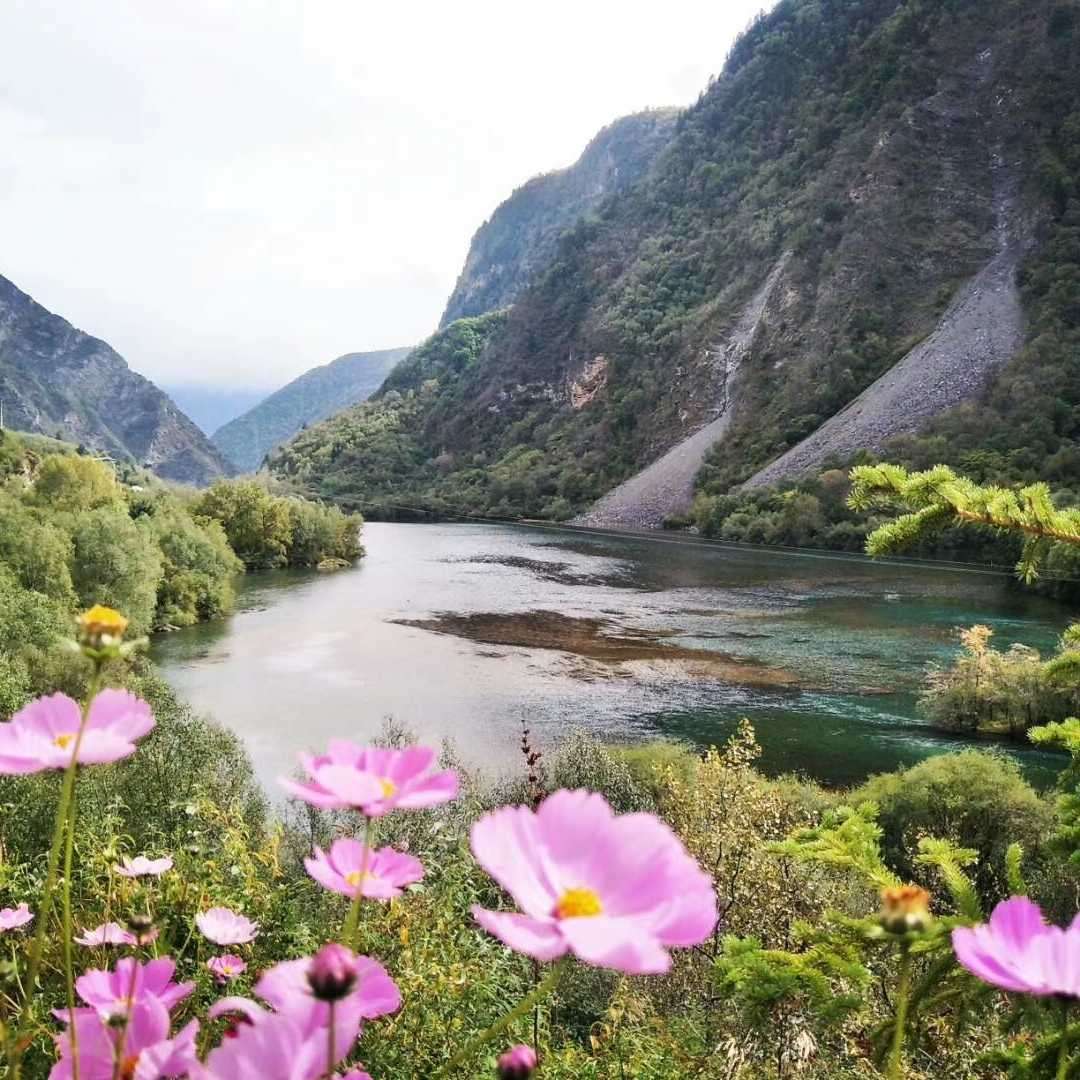 我们币圈这么吹牛逼