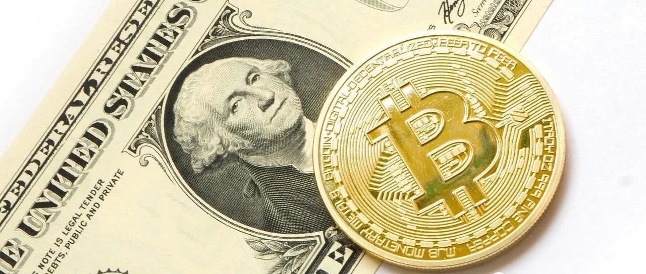如果死忠粉承认比特币是新型的“郁金香泡沫”，可能会吸引更多人